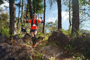 BIB: 
                            <button type="button" onclick="openModal(18937130)" class="btn btn-primary btn-sm float-right btn-popup" data-toggle="modal" data-target=".modal-high-quality">
                        <i class="fas fa-shopping-cart"></i> Add to Cart
                    </button>
                                            <button type="button" onclick="isThisMe(18937130, true)" class="btn btn-success btn-sm float-right btn-popup btn-isme hidden" data-toggle="tooltip" data-placement="bottom" title="นี่คือรูปของคุณใช่ไหม คลิกที่นี่เพื่อเอาเข้าอัลบั้ม">
                        <i class="fas fa-plus"></i> Add to album
                    </button>
                    <button type="button" onclick="isThisMe(18937130, false)" class="btn btn-warning btn-sm float-right btn-popup btn-isnotme hidden">
                        <i class="fas fa-ban"></i> Remove from album
                    </button>